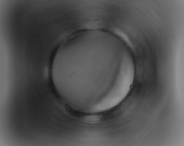 X0000092110161200710031237