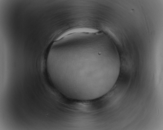 X0000092110164200710031237