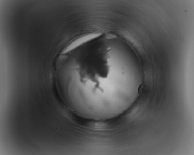 X0000092110165200710031237