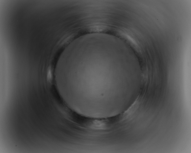 X0000092110166200710031237