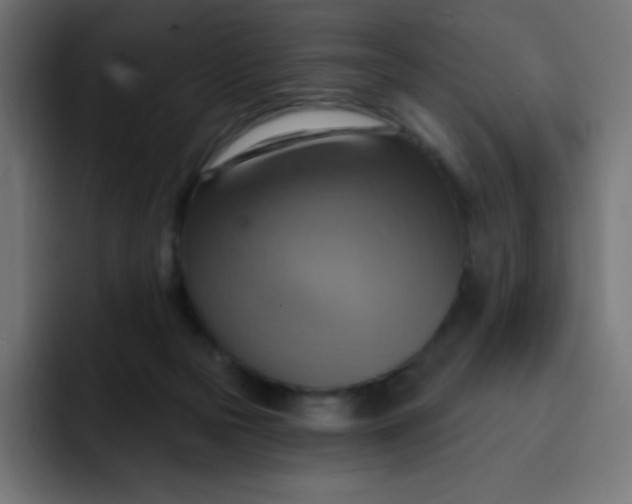 X0000092110169200710031237