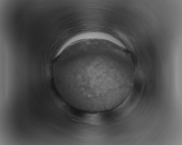 X0000092110170200710031237