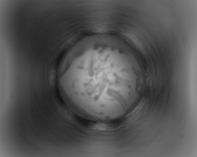 X0000092110171200710031237