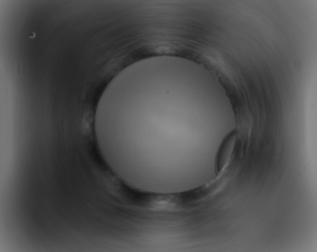 X0000092110175200710031237