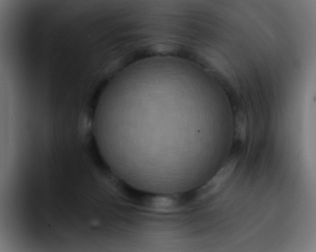 X0000092110176200710031237