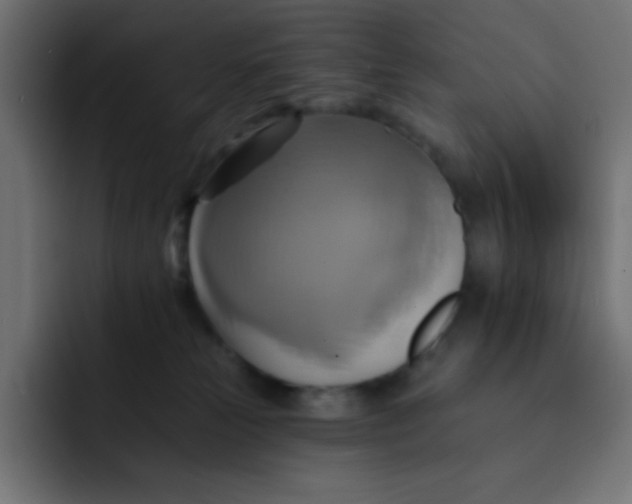 X0000092110181200710031237