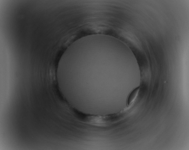 X0000092110182200710031237