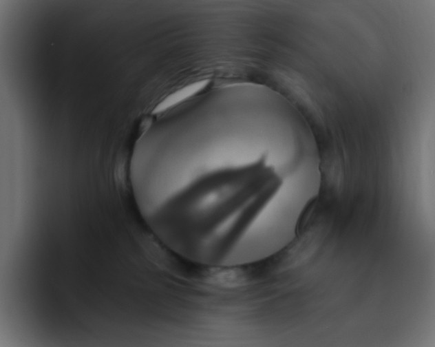 X0000092110185200710031237