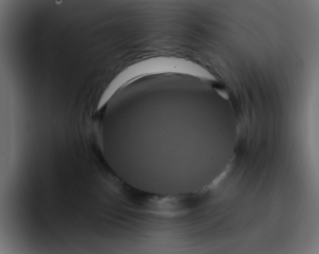 X0000092110186200710031237