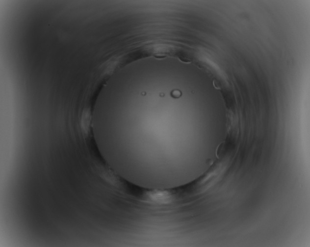 X0000092110189200710031237