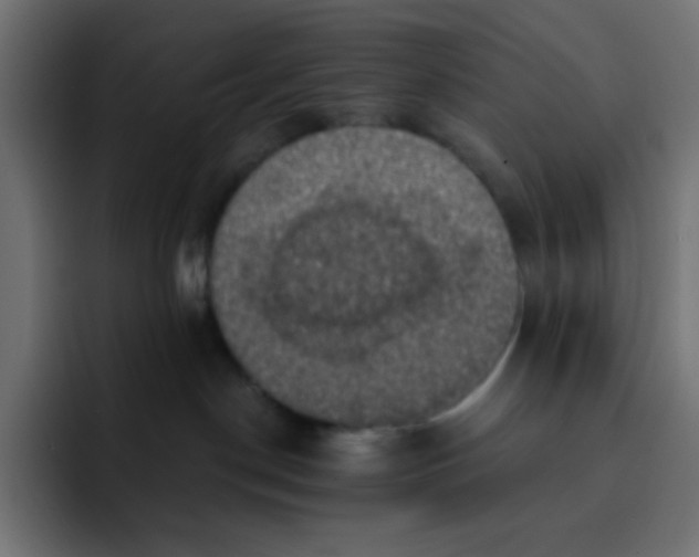 X0000092110190200710031237