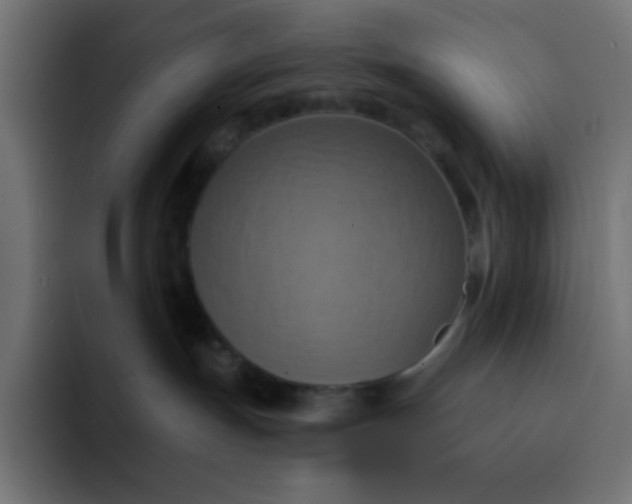 X0000092110191200710031237