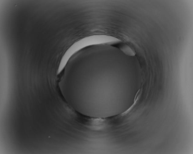 X0000092110192200710031237