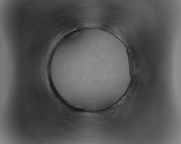 X0000092110193200710031237