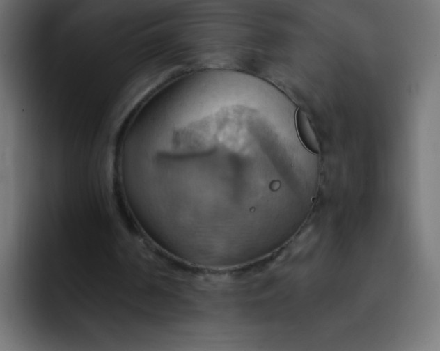 X0000092110194200710031237