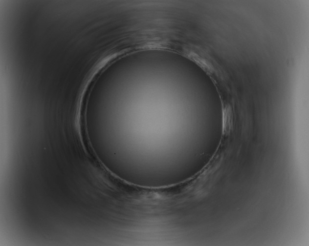 X0000092110195200710031237