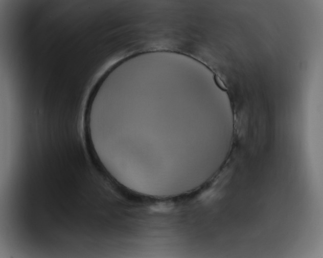 X0000092110196200710031237