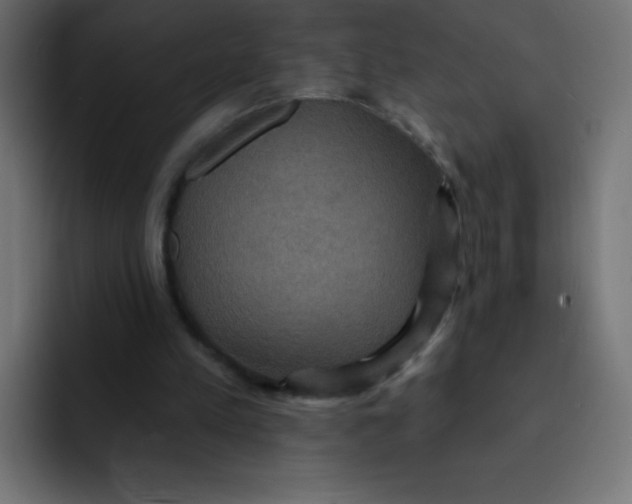 X0000092110197200710031237