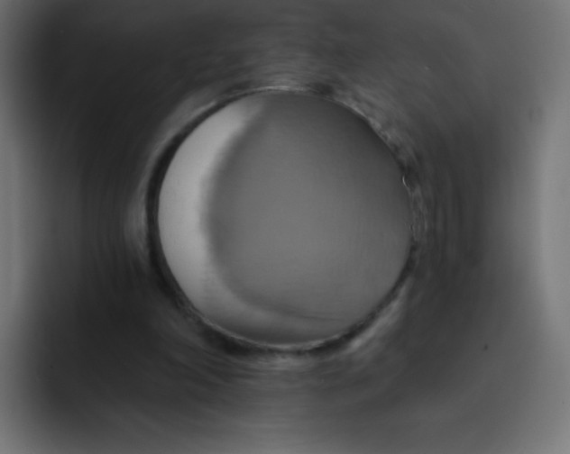 X0000092110198200710031236