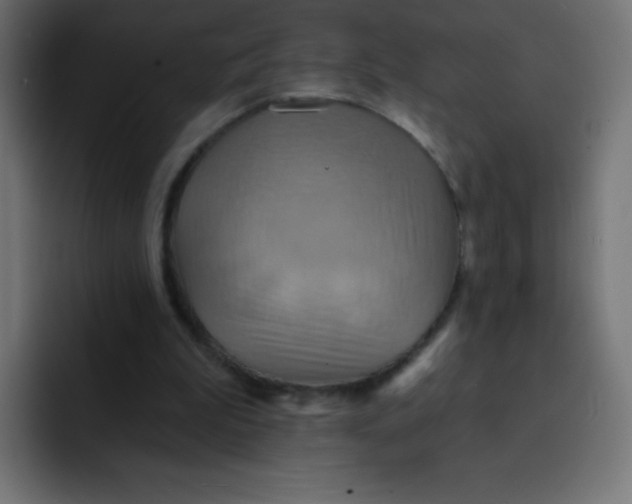 X0000092110199200710031236