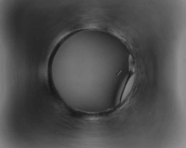 X0000092110200200710031236