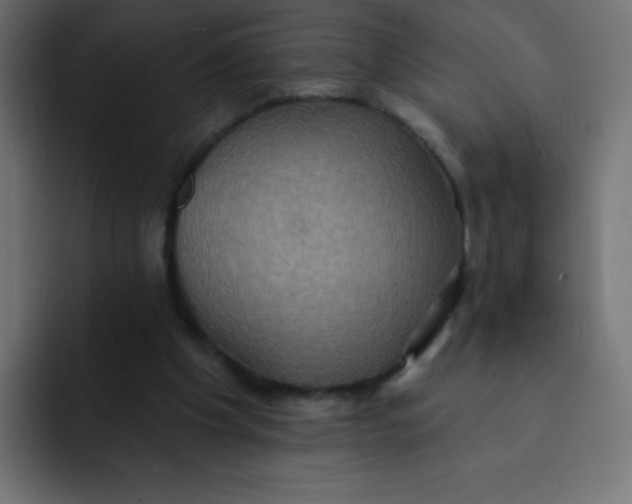 X0000092110201200710031236