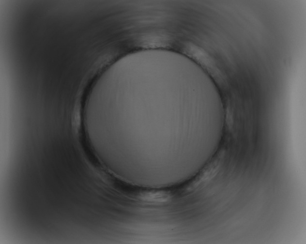 X0000092110202200710031236