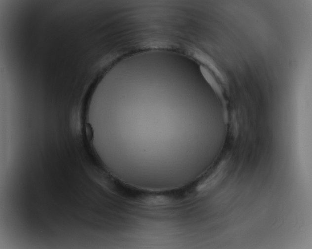 X0000092110203200710031236