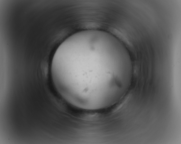 X0000092110206200710031236