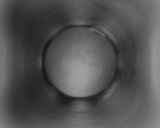 X0000092110207200710031236