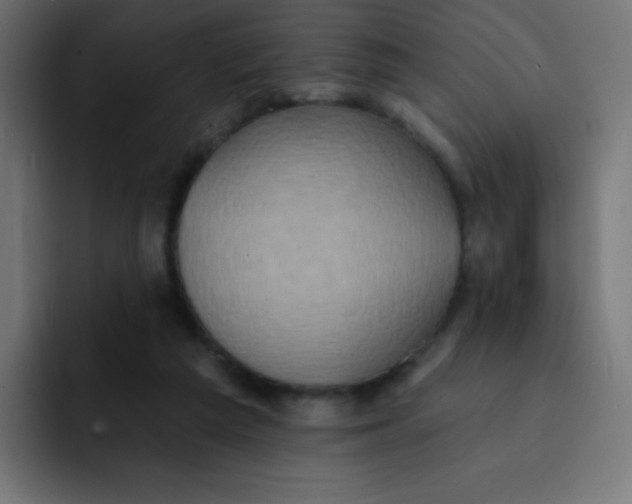 X0000092110209200710031236