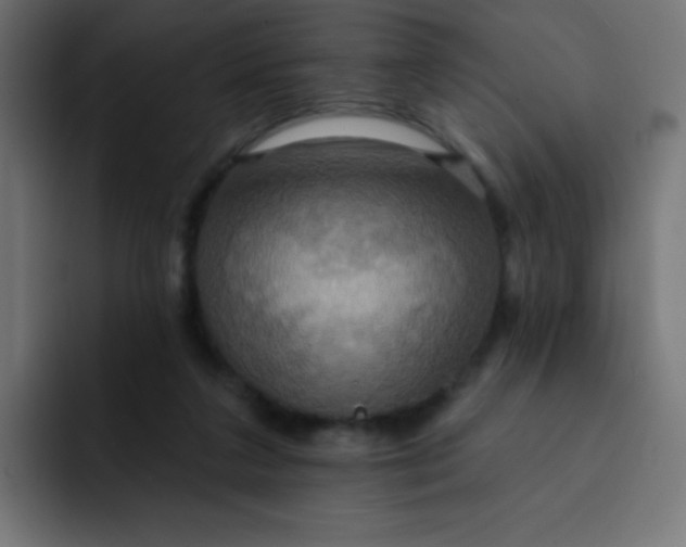 X0000092110211200710031236