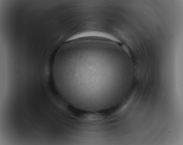 X0000092110215200710031236