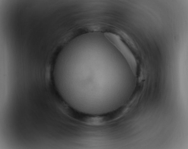 X0000092110217200710031236