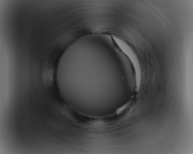 X0000092110219200710031236