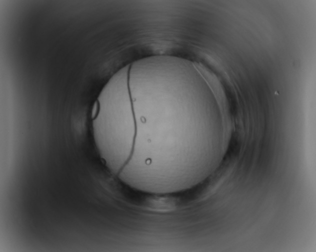 X0000092110221200710031236