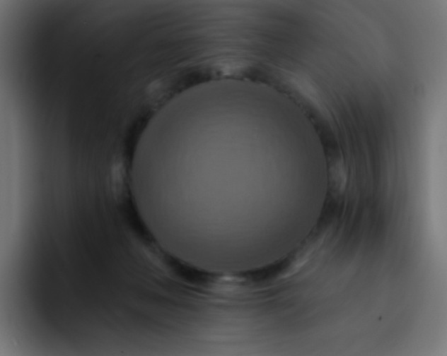 X0000092110222200710031236