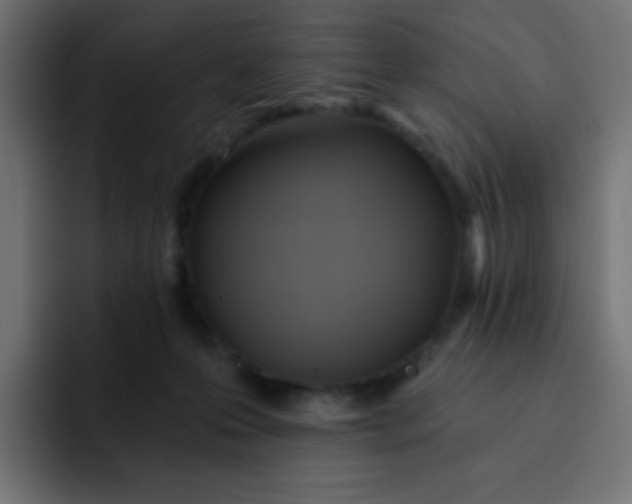 X0000092110223200710031236