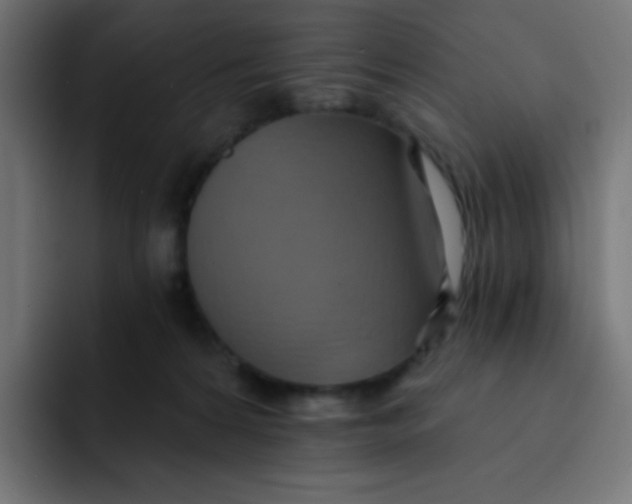 X0000092110224200710031236