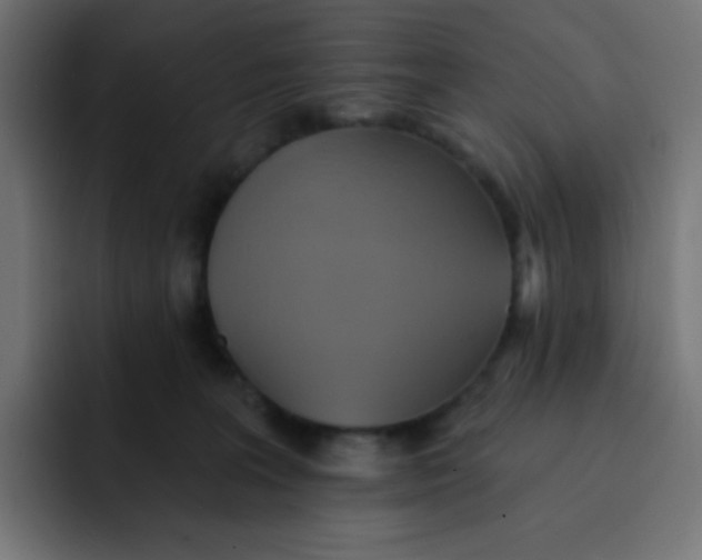 X0000092110227200710031236