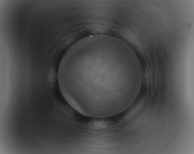 X0000092110228200710031236