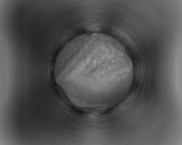 X0000092110229200710031236