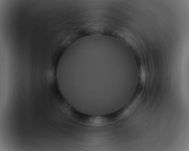 X0000092110231200710031236