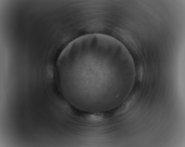 X0000092110232200710031236