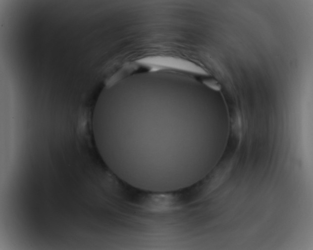 X0000092110233200710031236