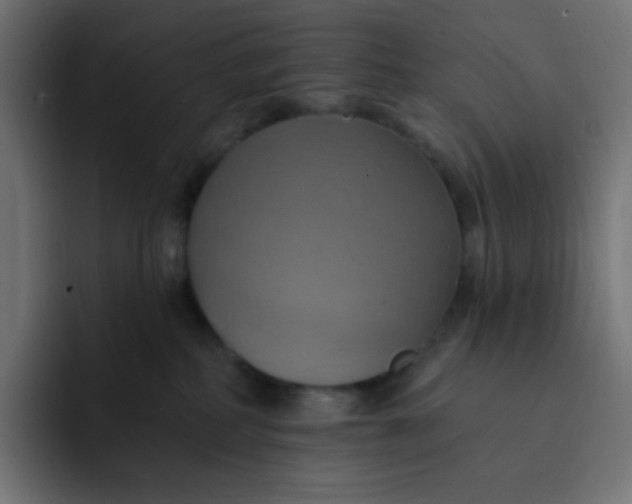 X0000092110234200710031236