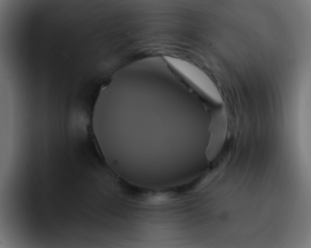 X0000092110235200710031236