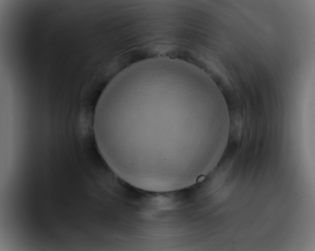 X0000092110236200710031236