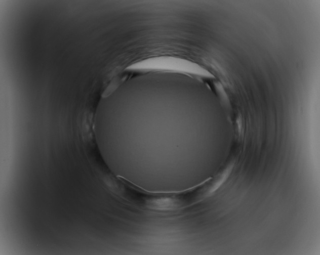 X0000092110237200710031236