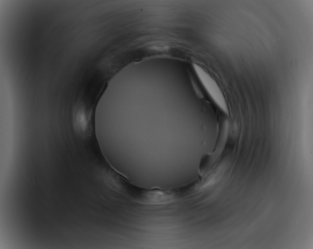 X0000092110239200710031236